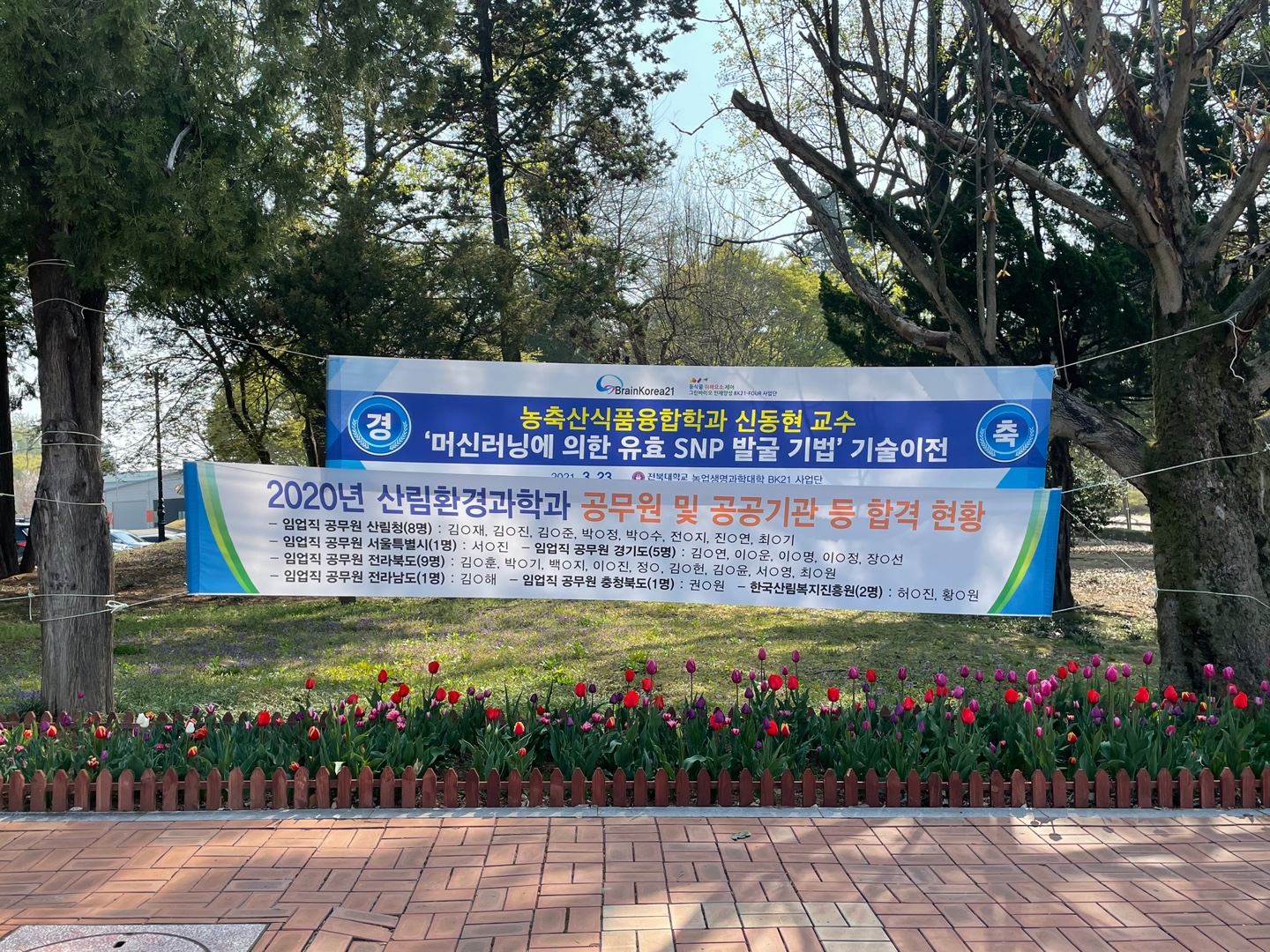 2020년 산림환경과학과 공무원 합격 현황 등 1번째 첨부파일 이미지